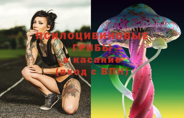 дживик Белоозёрский