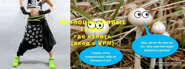 дживик Белоозёрский