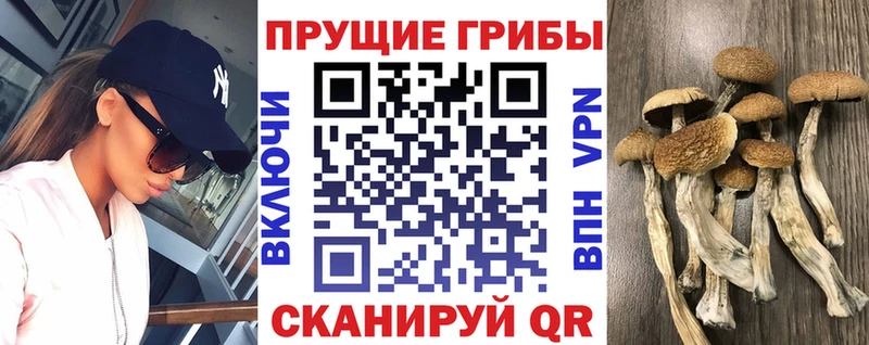 shop состав  хочу наркоту  Тырныауз  Псилоцибиновые грибы прущие грибы 